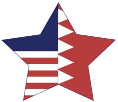 NAES logo